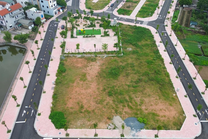 Thông tin chi tiết về phiên đấu giá