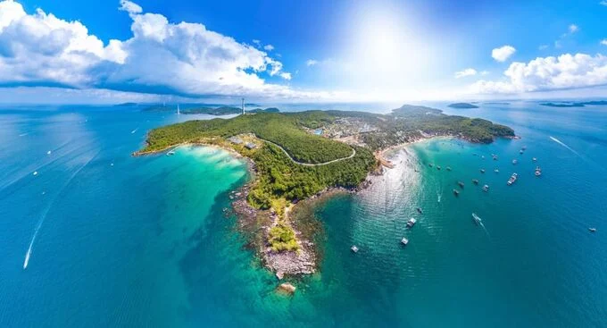 Thông tin về quyết định chuyển đổi đất rừng